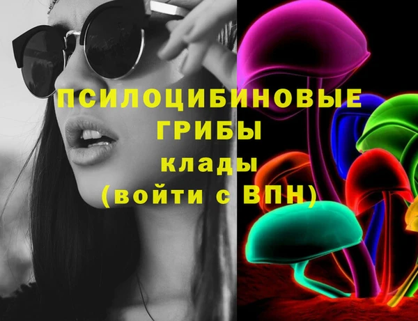 spice Вяземский