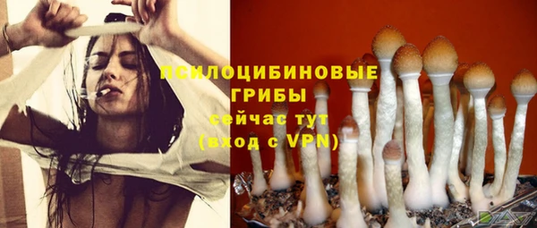 не бодяженный Вязьма