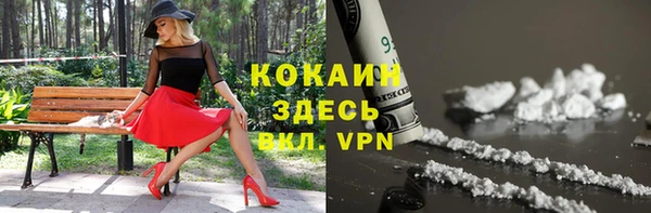 spice Вяземский