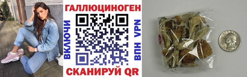 Галлюциногенные грибы Psilocybe  купить закладку  Десногорск 